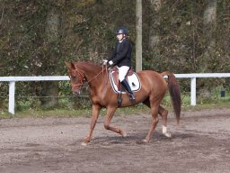 IMG_7851_web
